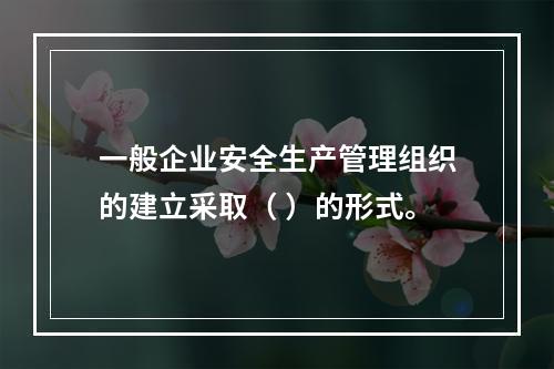 一般企业安全生产管理组织的建立采取（ ）的形式。