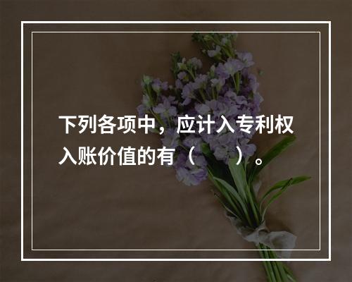 下列各项中，应计入专利权入账价值的有（　　）。