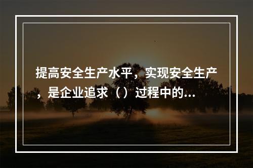 提高安全生产水平，实现安全生产，是企业追求（ ）过程中的重要