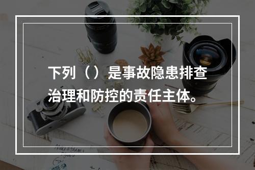 下列（ ）是事故隐患排查治理和防控的责任主体。