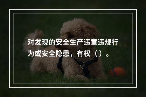 对发现的安全生产违章违规行为或安全隐患，有权（ ）。