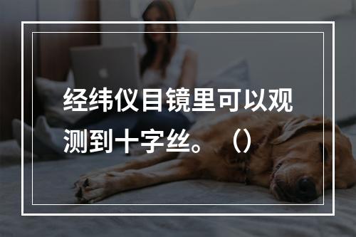 经纬仪目镜里可以观测到十字丝。（）