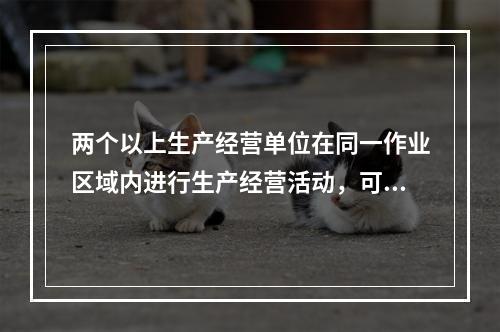 两个以上生产经营单位在同一作业区域内进行生产经营活动，可能危