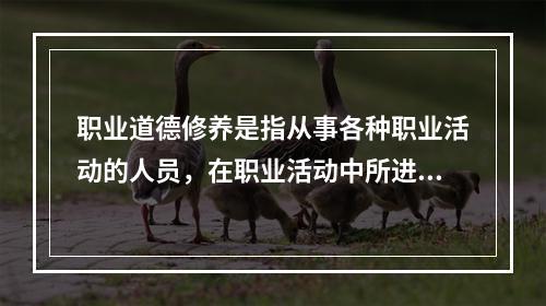 职业道德修养是指从事各种职业活动的人员，在职业活动中所进行的