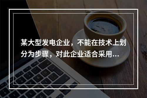 某大型发电企业，不能在技术上划分为步骤，对此企业适合采用的成