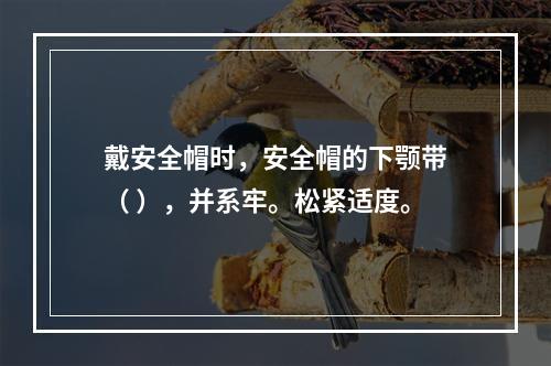 戴安全帽时，安全帽的下颚带（ ），并系牢。松紧适度。