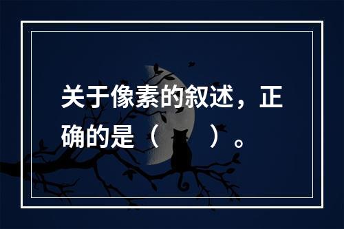 关于像素的叙述，正确的是（　　）。