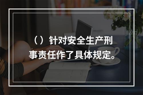 （ ）针对安全生产刑事责任作了具体规定。