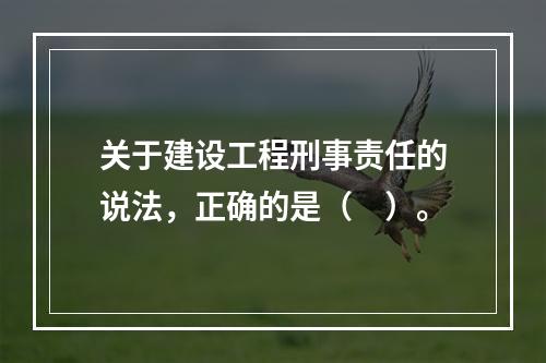 关于建设工程刑事责任的说法，正确的是（　）。