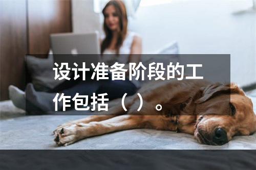 设计准备阶段的工作包括（  ）。