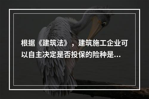 根据《建筑法》，建筑施工企业可以自主决定是否投保的险种是（　