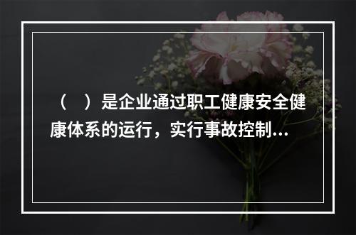 （　）是企业通过职工健康安全健康体系的运行，实行事故控制的开