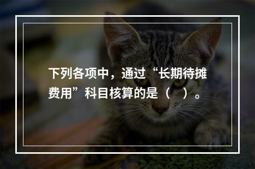 下列各项中，通过“长期待摊费用”科目核算的是（　）。