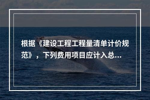 根据《建设工程工程量清单计价规范》，下列费用项目应计入总承包