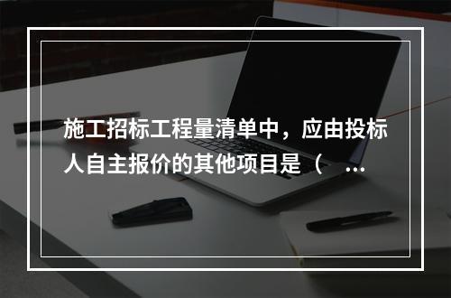 施工招标工程量清单中，应由投标人自主报价的其他项目是（　）。