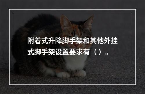 附着式升降脚手架和其他外挂式脚手架设置要求有（ ）。