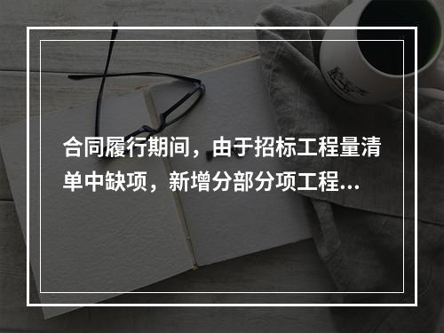 合同履行期间，由于招标工程量清单中缺项，新增分部分项工程清单