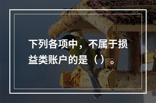 下列各项中，不属于损益类账户的是（ ）。