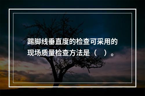 踢脚线垂直度的检查可采用的现场质量检查方法是（　）。