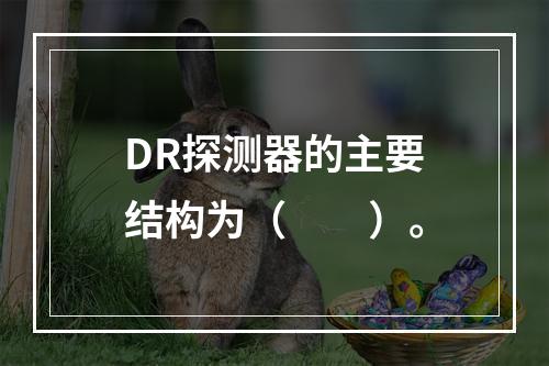 DR探测器的主要结构为（　　）。