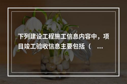 下列建设工程施工信息内容中，项目竣工验收信息主要包括（　）。