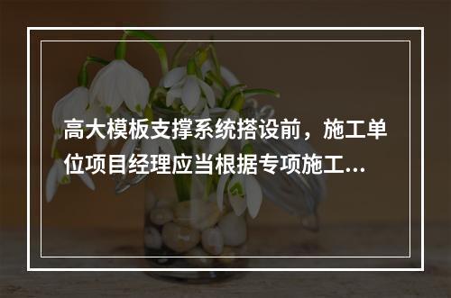 高大模板支撑系统搭设前，施工单位项目经理应当根据专项施工方案