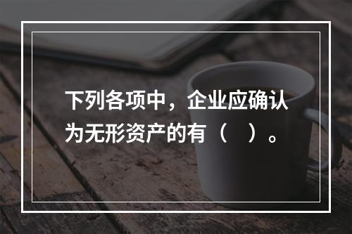 下列各项中，企业应确认为无形资产的有（　）。