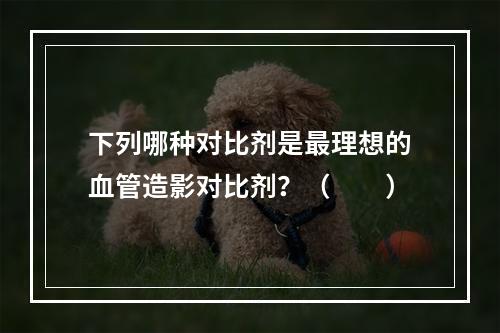 下列哪种对比剂是最理想的血管造影对比剂？（　　）