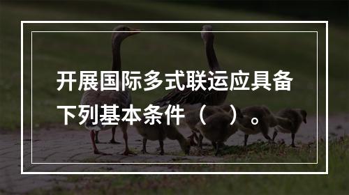 开展国际多式联运应具备下列基本条件（　）。