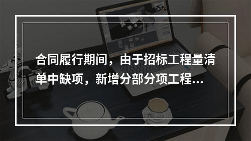 合同履行期间，由于招标工程量清单中缺项，新增分部分项工程清单