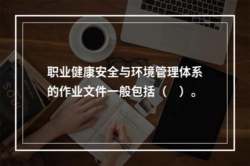 职业健康安全与环境管理体系的作业文件一般包括（　）。