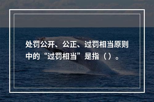 处罚公开、公正、过罚相当原则中的“过罚相当”是指（ ）。