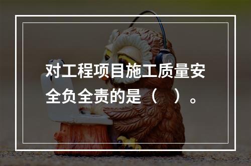 对工程项目施工质量安全负全责的是（　）。