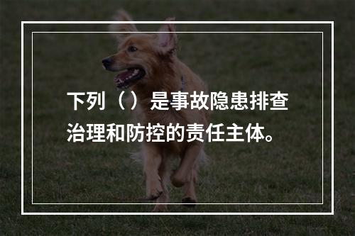 下列（ ）是事故隐患排查治理和防控的责任主体。