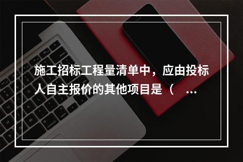 施工招标工程量清单中，应由投标人自主报价的其他项目是（　）。