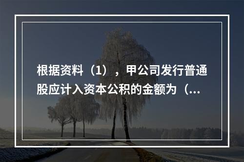 根据资料（1），甲公司发行普通股应计入资本公积的金额为（　）