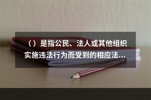 （ ）是指公民、法人或其他组织实施违法行为而受到的相应法律制