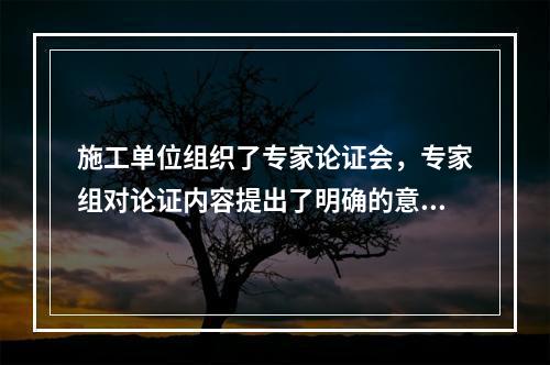 施工单位组织了专家论证会，专家组对论证内容提出了明确的意见，