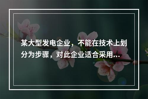 某大型发电企业，不能在技术上划分为步骤，对此企业适合采用的成