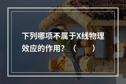 下列哪项不属于X线物理效应的作用？（　　）