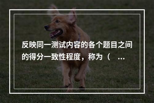 反映同一测试内容的各个题目之间的得分一致性程度，称为（　）