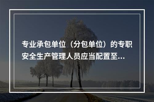 专业承包单位（分包单位）的专职安全生产管理人员应当配置至少（