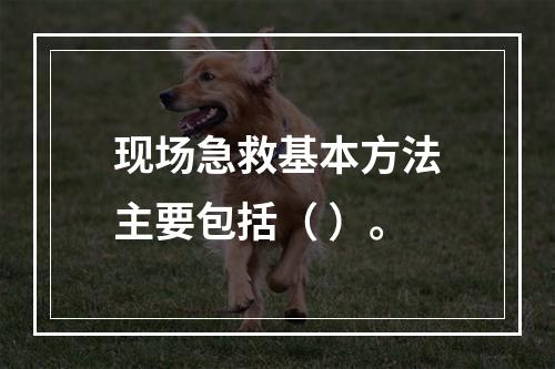 现场急救基本方法主要包括（ ）。