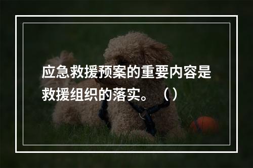 应急救援预案的重要内容是救援组织的落实。（ ）