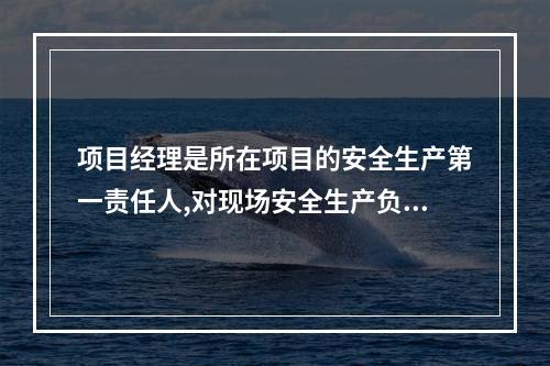 项目经理是所在项目的安全生产第一责任人,对现场安全生产负总责