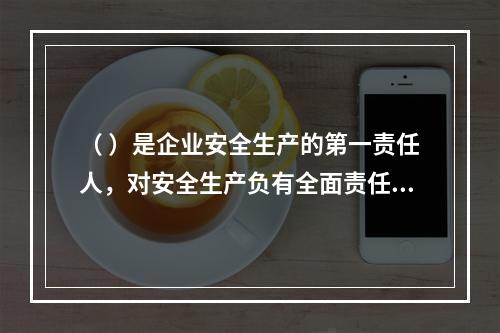 （ ）是企业安全生产的第一责任人，对安全生产负有全面责任。