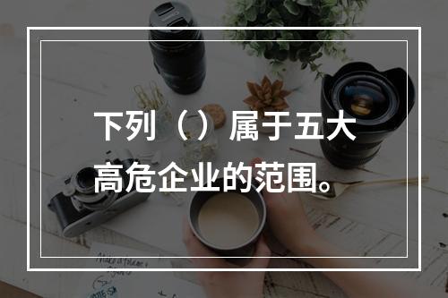 下列（ ）属于五大高危企业的范围。