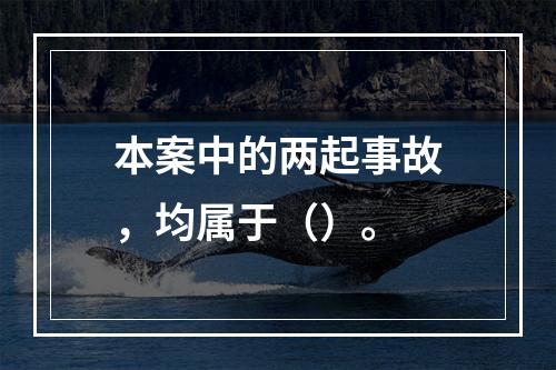 本案中的两起事故，均属于（）。