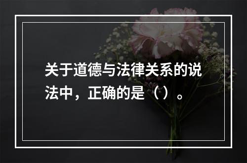 关于道德与法律关系的说法中，正确的是（ ）。