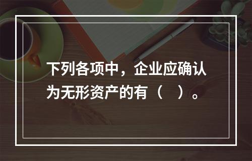 下列各项中，企业应确认为无形资产的有（　）。